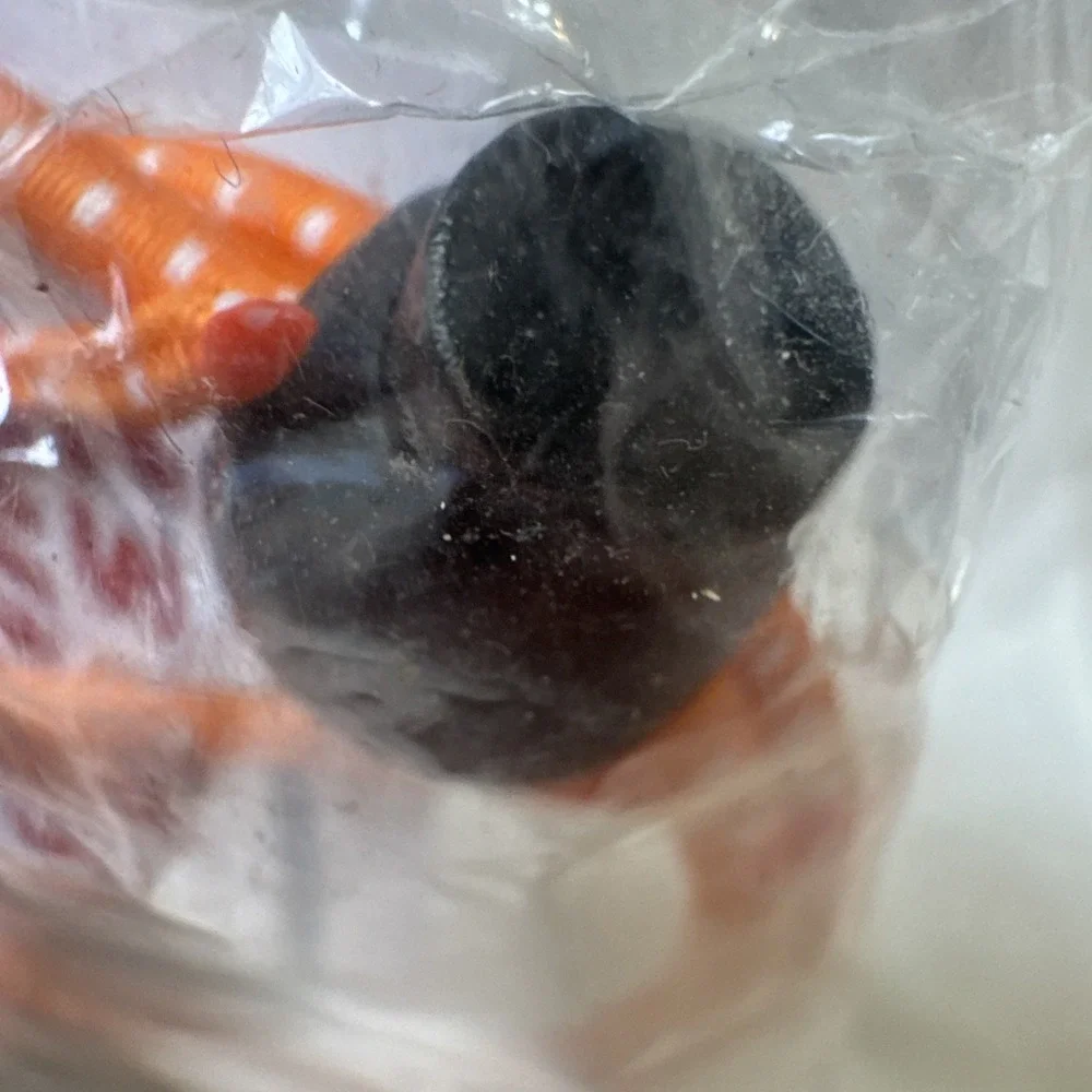 Sporto this orange